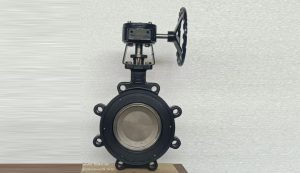 Double-Eccentric-High-Performance-Butterfly-Valve