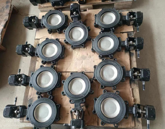 Double-Eccentric-High-Performance-Butterfly-Valve