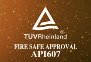 api-607-fire-safe