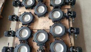 Industrial-Plants-Require-High-Performance-Butterfly-Valves
