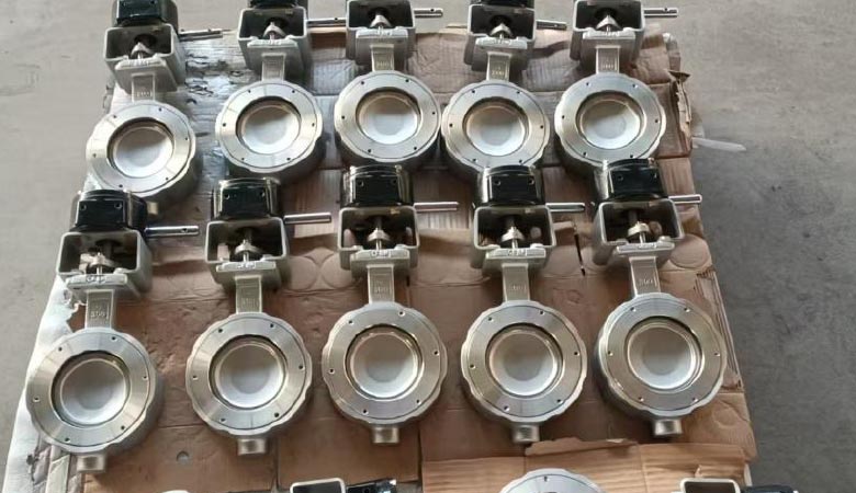 High-Performance-Butterfly-Valves