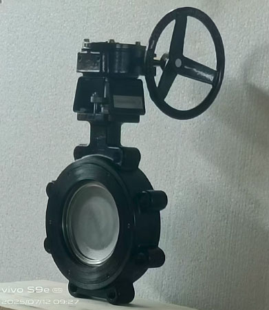 shengfei-High-Performance-Butterfly-Valve