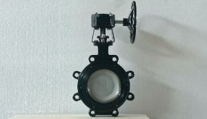 shengfei-High-Performance-Butterfly-Valve