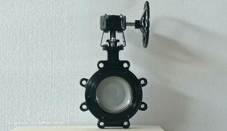 shengfei-High-Performance-Butterfly-Valve