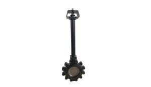 Cryogenic-High-Performance-Butterfly-Valve